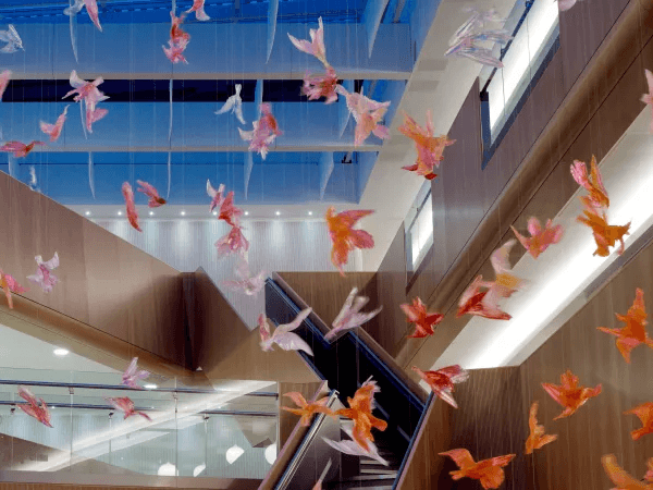 Modern research atrium with suspended installation — academic environment for chronodosing science